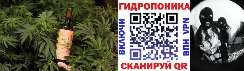 Canna-Cookies марихуана  Трубчевск 