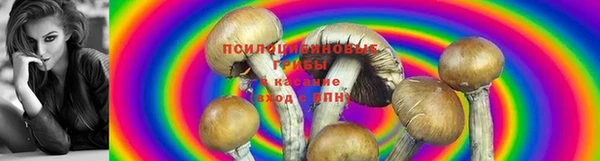 кокаин премиум Алзамай