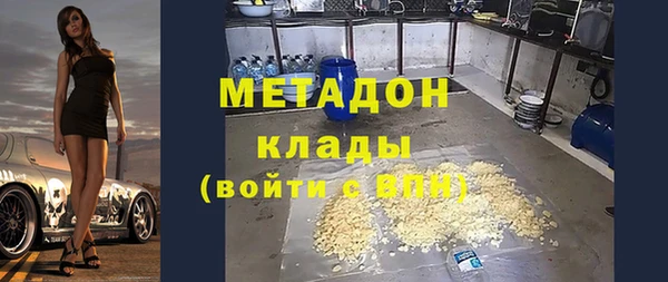 шишки Инта